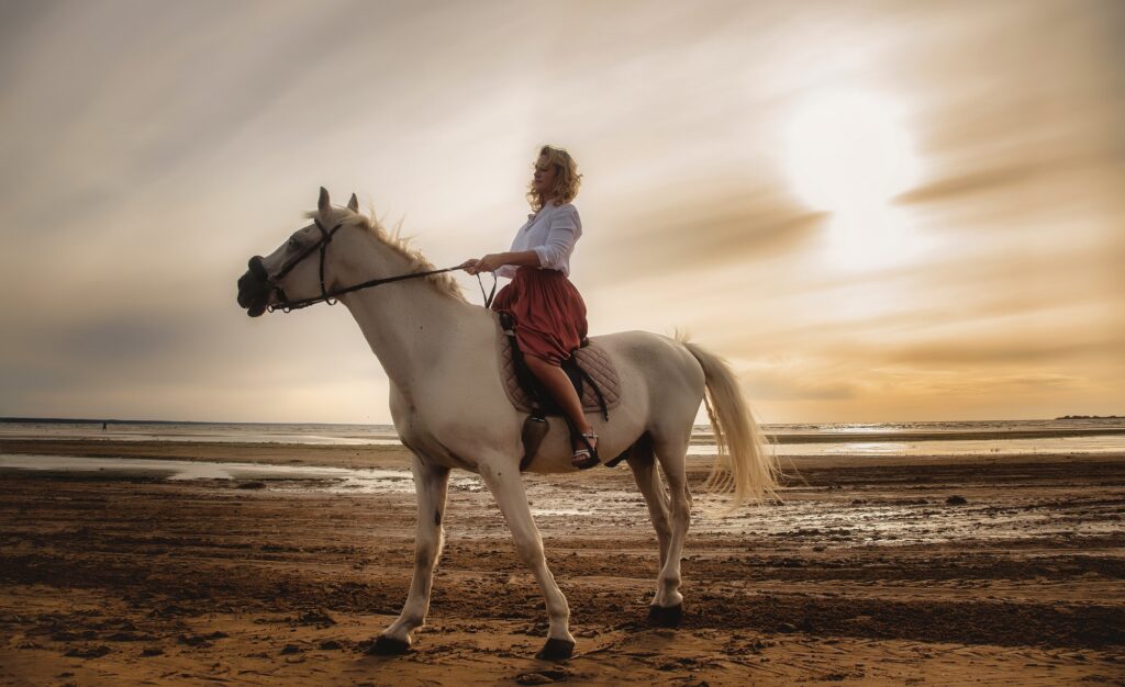 Cute young woman on white horse takes horse ride on sea beach at sunset